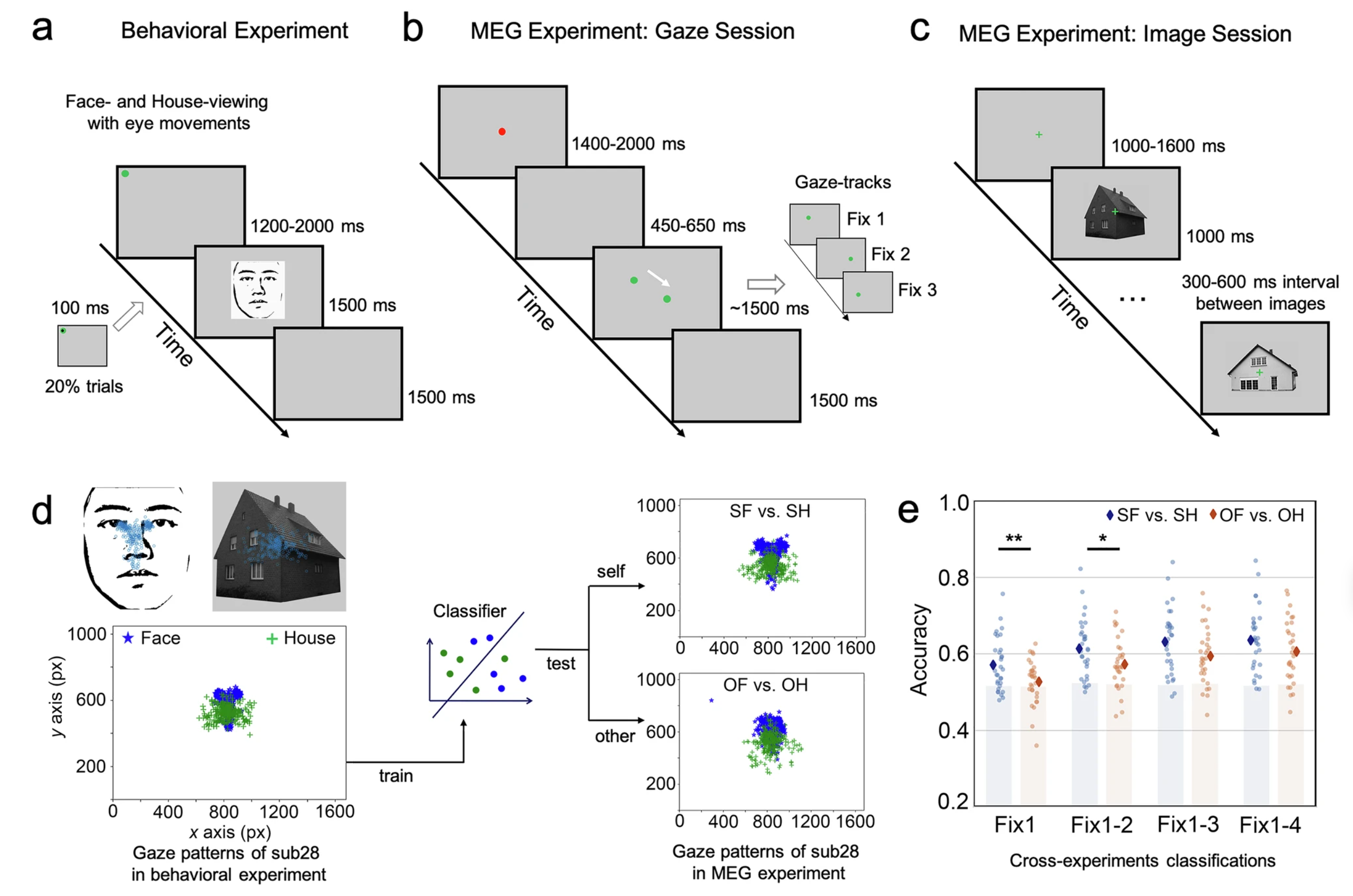 AAAI 2025 paper